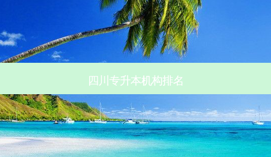 四川专升本机构排名-第1张图片-天智网 四川专升本机构排名-第1张图片-天智网