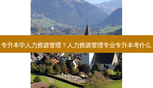 专升本学人力资源管理？人力资源管理专业专升本考什么-第1张图片-汇成专升本网