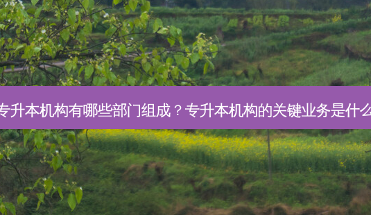 专升本机构有哪些部门组成?专升本机构的关键业务是什么-第1张图片-天智网 专升本机构有哪些部门组成?专升本机构的关键业务是什么-第1张图片-天智网
