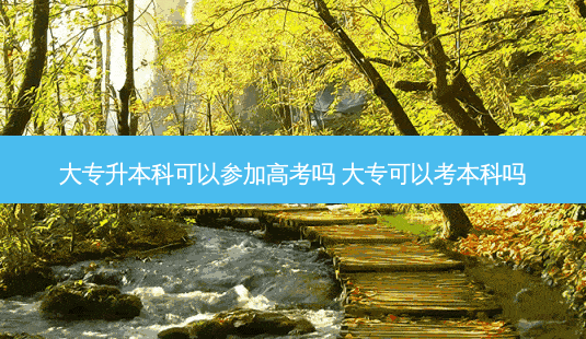 大专升本科可以参加高考吗 大专可以考本科吗-第1张图片-天智网 大专升本科可以参加高考吗 大专可以考本科吗-第1张图片-天智网
