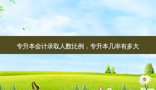 专升本会计录取人数比例,专升本几率有多大-第1张图片-天智网 专升本会计录取人数比例,专升本几率有多大-第1张图片-天智网