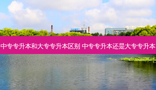 中专专升本和大专专升本区别 中专专升本还是大专专升本-第1张图片-天智网 中专专升本和大专专升本区别 中专专升本还是大专专升本-第1张图片-天智网