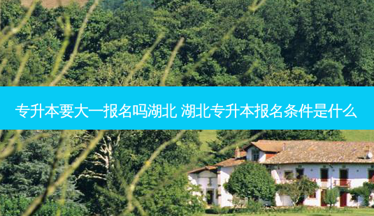 专升本要大一报名吗湖北 湖北专升本报名条件是什么-第1张图片-天智网 专升本要大一报名吗湖北 湖北专升本报名条件是什么-第1张图片-天智网