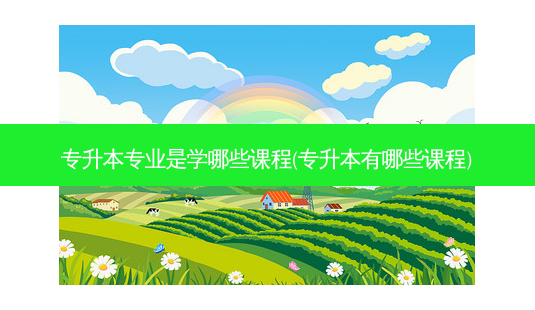 专升本专业是学哪些课程(专升本有哪些课程)-第1张图片-天智网 专升本专业是学哪些课程(专升本有哪些课程)-第1张图片-天智网