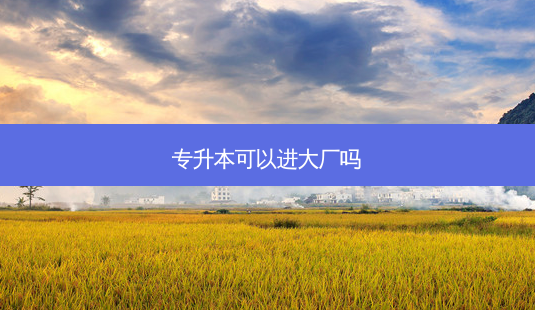 专升本可以进大厂吗-第1张图片-天智网 专升本可以进大厂吗-第1张图片-天智网