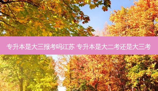 专升本是大三报考吗江苏 专升本是大二考还是大三考-第1张图片-天智网 专升本是大三报考吗江苏 专升本是大二考还是大三考-第1张图片-天智网