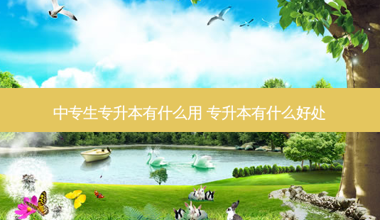 中专生专升本有什么用 专升本有什么好处-第1张图片-天智网 中专生专升本有什么用 专升本有什么好处-第1张图片-天智网