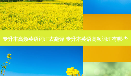 专升本高频英语词汇表翻译 专升本英语高频词汇有哪些-第1张图片-天智网 专升本高频英语词汇表翻译 专升本英语高频词汇有哪些-第1张图片-天智网