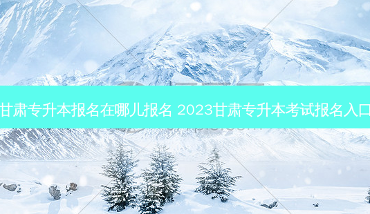 甘肃专升本报名在哪儿报名 2023甘肃专升本考试报名入口-第1张图片-天智网 甘肃专升本报名在哪儿报名 2023甘肃专升本考试报名入口-第1张图片-天智网