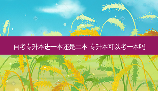 自考专升本进一本还是二本 专升本可以考一本吗-第1张图片-天智网 自考专升本进一本还是二本 专升本可以考一本吗-第1张图片-天智网