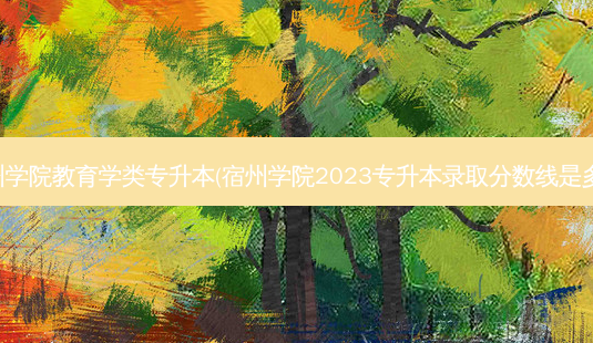 宿州学院教育学类专升本(宿州学院2023专升本录取分数线是多少)-第1张图片-天智网 宿州学院教育学类专升本(宿州学院2023专升本录取分数线是多少)-第1张图片-天智网