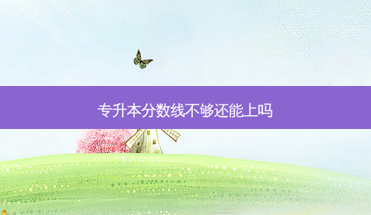 专升本分数线不够还能上吗-第1张图片-天智网 专升本分数线不够还能上吗-第1张图片-天智网