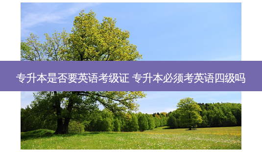 专升本是否要英语考级证 专升本必须考英语四级吗-第1张图片-天智网 专升本是否要英语考级证 专升本必须考英语四级吗-第1张图片-天智网