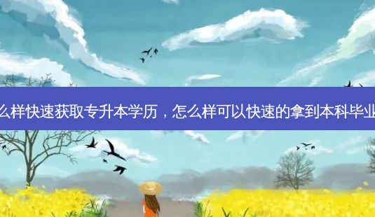 怎么样快速获取专升本学历,怎么样可以快速的拿到本科毕业证-第1张图片-天智网 怎么样快速获取专升本学历,怎么样可以快速的拿到本科毕业证-第1张图片-天智网