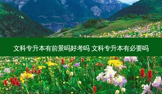 文科专升本有前景吗好考吗 文科专升本有必要吗-第1张图片-天智网 文科专升本有前景吗好考吗 文科专升本有必要吗-第1张图片-天智网