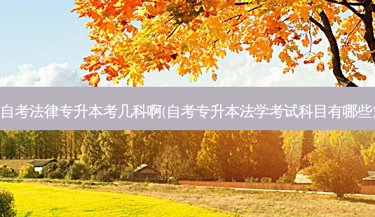 自考法律专升本考几科啊(自考专升本法学考试科目有哪些)-第1张图片-天智网 自考法律专升本考几科啊(自考专升本法学考试科目有哪些)-第1张图片-天智网