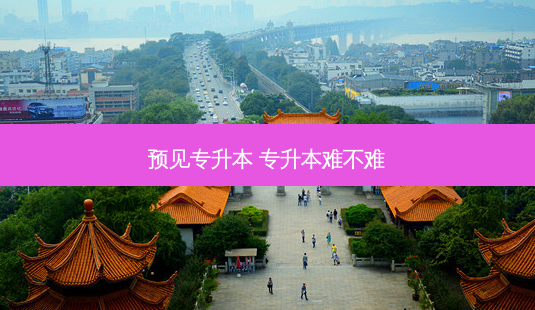 预见专升本 专升本难不难-第1张图片-天智网 预见专升本 专升本难不难-第1张图片-天智网