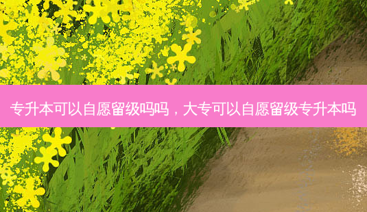 专升本可以自愿留级吗吗,大专可以自愿留级专升本吗-第1张图片-天智网 专升本可以自愿留级吗吗,大专可以自愿留级专升本吗-第1张图片-天智网
