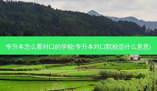专升本怎么看对口的学校(专升本对口院校是什么意思)-第1张图片-天智网 专升本怎么看对口的学校(专升本对口院校是什么意思)-第1张图片-天智网