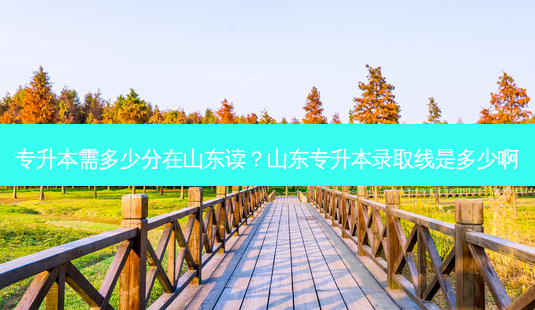 专升本需多少分在山东读?山东专升本录取线是多少啊-第1张图片-天智网 专升本需多少分在山东读?山东专升本录取线是多少啊-第1张图片-天智网