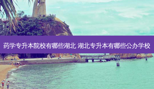 药学专升本院校有哪些湖北 湖北专升本有哪些公办学校-第1张图片-天智网 药学专升本院校有哪些湖北 湖北专升本有哪些公办学校-第1张图片-天智网