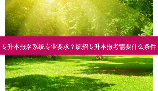 专升本报名系统专业要求?统招专升本报考需要什么条件-第1张图片-天智网 专升本报名系统专业要求?统招专升本报考需要什么条件-第1张图片-天智网