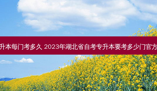 湖北省专升本每门考多久 2023年湖北省自考专升本要考多少门官方报名时间-第1张图片-天智网 湖北省专升本每门考多久 2023年湖北省自考专升本要考多少门官方报名时间-第1张图片-天智网