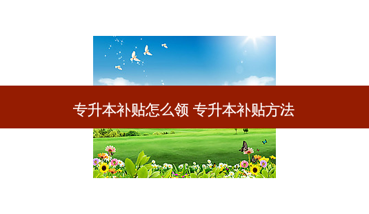 专升本补贴怎么领 专升本补贴 *** -第1张图片-天智网 专升本补贴怎么领 专升本补贴 *** -第1张图片-天智网