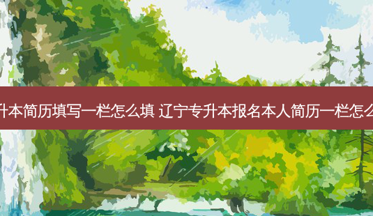 专升本简历填写一栏怎么填 辽宁专升本报名本人简历一栏怎么填-第1张图片-汇成专升本网