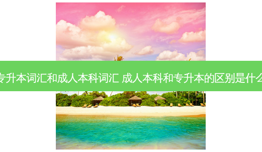 专升本词汇和成人本科词汇 成人本科和专升本的区别是什么-第1张图片-天智网 专升本词汇和成人本科词汇 成人本科和专升本的区别是什么-第1张图片-天智网