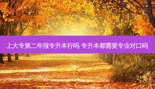 上大专第二年报专升本行吗 专升本都需要专业对口吗-第1张图片-天智网 上大专第二年报专升本行吗 专升本都需要专业对口吗-第1张图片-天智网