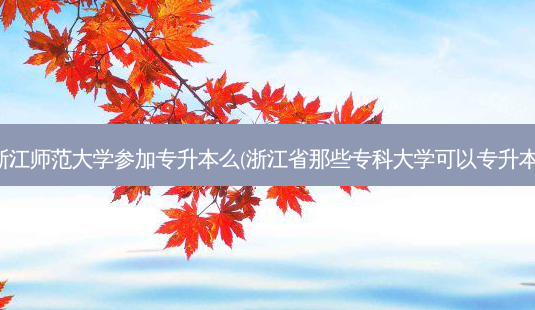 浙江师范大学参加专升本么(浙江省那些专科大学可以专升本)-第1张图片-天智网 浙江师范大学参加专升本么(浙江省那些专科大学可以专升本)-第1张图片-天智网