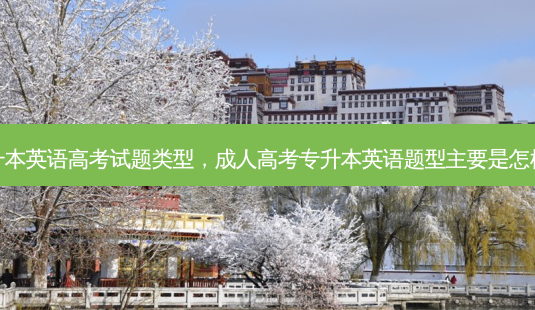 专升本英语高考试题类型,成人高考专升本英语题型主要是怎样的-第1张图片-天智网 专升本英语高考试题类型,成人高考专升本英语题型主要是怎样的-第1张图片-天智网