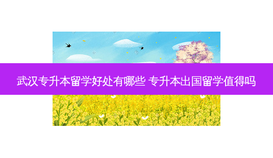 武汉专升本留学好处有哪些 专升本出国留学值得吗-第1张图片-天智网 武汉专升本留学好处有哪些 专升本出国留学值得吗-第1张图片-天智网