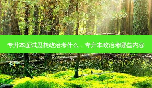 专升本面试思想政治考什么,专升本政治考哪些内容-第1张图片-天智网 专升本面试思想政治考什么,专升本政治考哪些内容-第1张图片-天智网