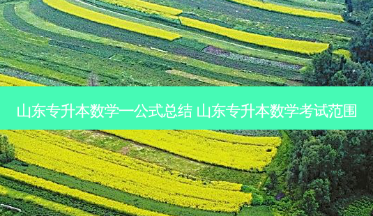 山东专升本数学一公式总结 山东专升本数学考试范围-第1张图片-天智网 山东专升本数学一公式总结 山东专升本数学考试范围-第1张图片-天智网