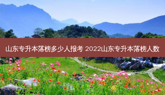 山东专升本落榜多少人报考 2022山东专升本落榜人数-第1张图片-天智网 山东专升本落榜多少人报考 2022山东专升本落榜人数-第1张图片-天智网