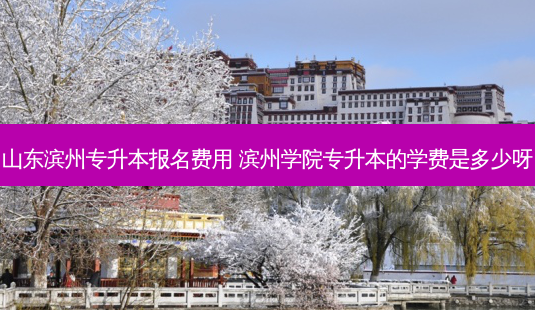 山东滨州专升本报名费用 滨州学院专升本的学费是多少呀-第1张图片-天智网 山东滨州专升本报名费用 滨州学院专升本的学费是多少呀-第1张图片-天智网