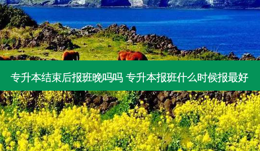 专升本结束后报班晚吗吗 专升本报班什么时候报 *** 好-第1张图片-天智网 专升本结束后报班晚吗吗 专升本报班什么时候报 *** 好-第1张图片-天智网