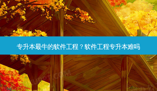 专升本 *** 牛的软件工程?软件工程专升本难吗-第1张图片-天智网 专升本 *** 牛的软件工程?软件工程专升本难吗-第1张图片-天智网