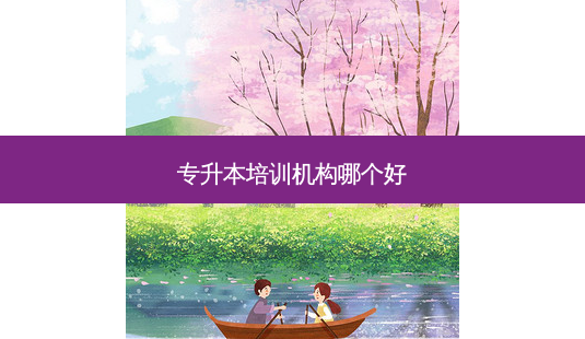 专升本培训机构哪个好-第1张图片-天智网 专升本培训机构哪个好-第1张图片-天智网