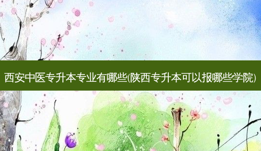 西安中医专升本专业有哪些(陕西专升本可以报哪些学院)-第1张图片-天智网 西安中医专升本专业有哪些(陕西专升本可以报哪些学院)-第1张图片-天智网