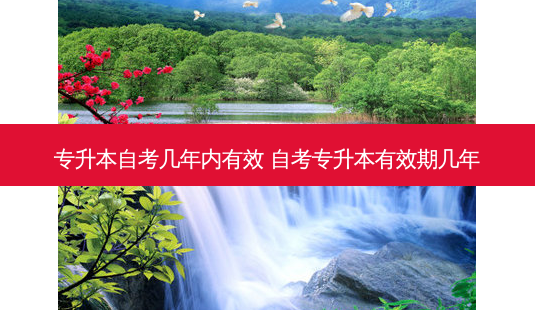 专升本自考几年内有效 自考专升本有效期几年-第1张图片-天智网 专升本自考几年内有效 自考专升本有效期几年-第1张图片-天智网
