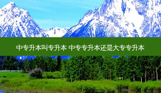 中专升本叫专升本 中专专升本还是大专专升本-第1张图片-天智网 中专升本叫专升本 中专专升本还是大专专升本-第1张图片-天智网