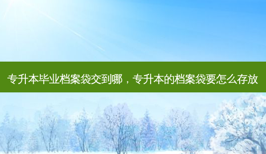 专升本毕业档案袋交到哪,专升本的档案袋要怎么存放-第1张图片-天智网 专升本毕业档案袋交到哪,专升本的档案袋要怎么存放-第1张图片-天智网
