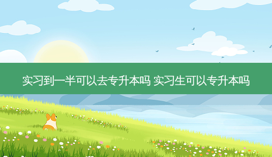 实习到一半可以去专升本吗 实习生可以专升本吗-第1张图片-天智网 实习到一半可以去专升本吗 实习生可以专升本吗-第1张图片-天智网