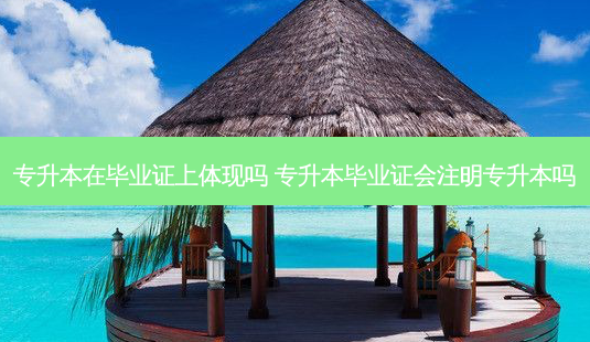 专升本在毕业证上体现吗 专升本毕业证会注明专升本吗-第1张图片-天智网 专升本在毕业证上体现吗 专升本毕业证会注明专升本吗-第1张图片-天智网