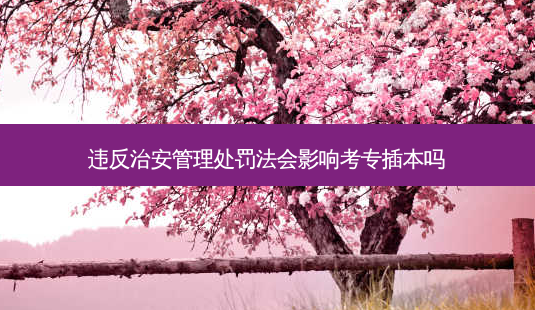 违反治安管理处罚法会影响考专插本吗-第1张图片-天智网 违反治安管理处罚法会影响考专插本吗-第1张图片-天智网