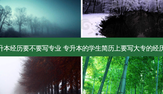 专升本经历要不要写专业 专升本的学生简历上要写大专的经历吗-第1张图片-天智网 专升本经历要不要写专业 专升本的学生简历上要写大专的经历吗-第1张图片-天智网