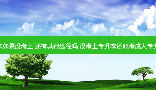 专升本如果没考上,还有其他途径吗 没考上专升本还能考成人专升本吗-第1张图片-天智网 专升本如果没考上,还有其他途径吗 没考上专升本还能考成人专升本吗-第1张图片-天智网